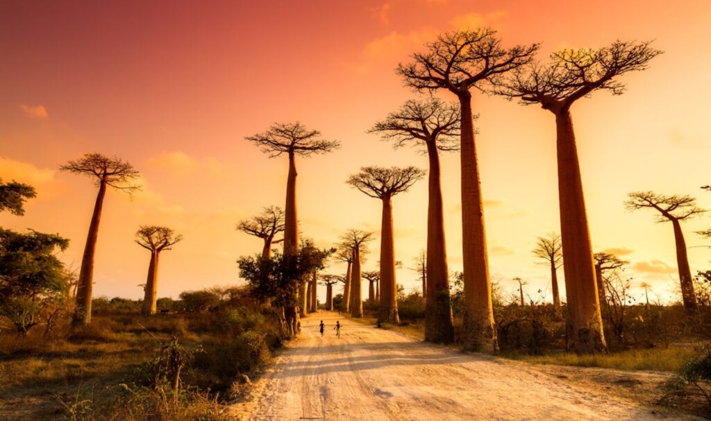 Madagascar