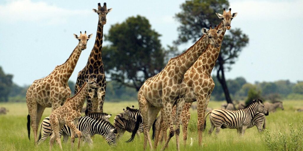 Uganda