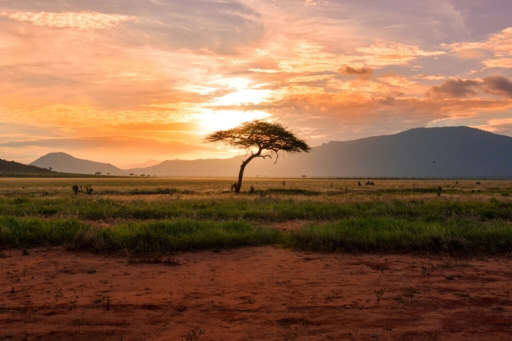 Serengeti National Park
