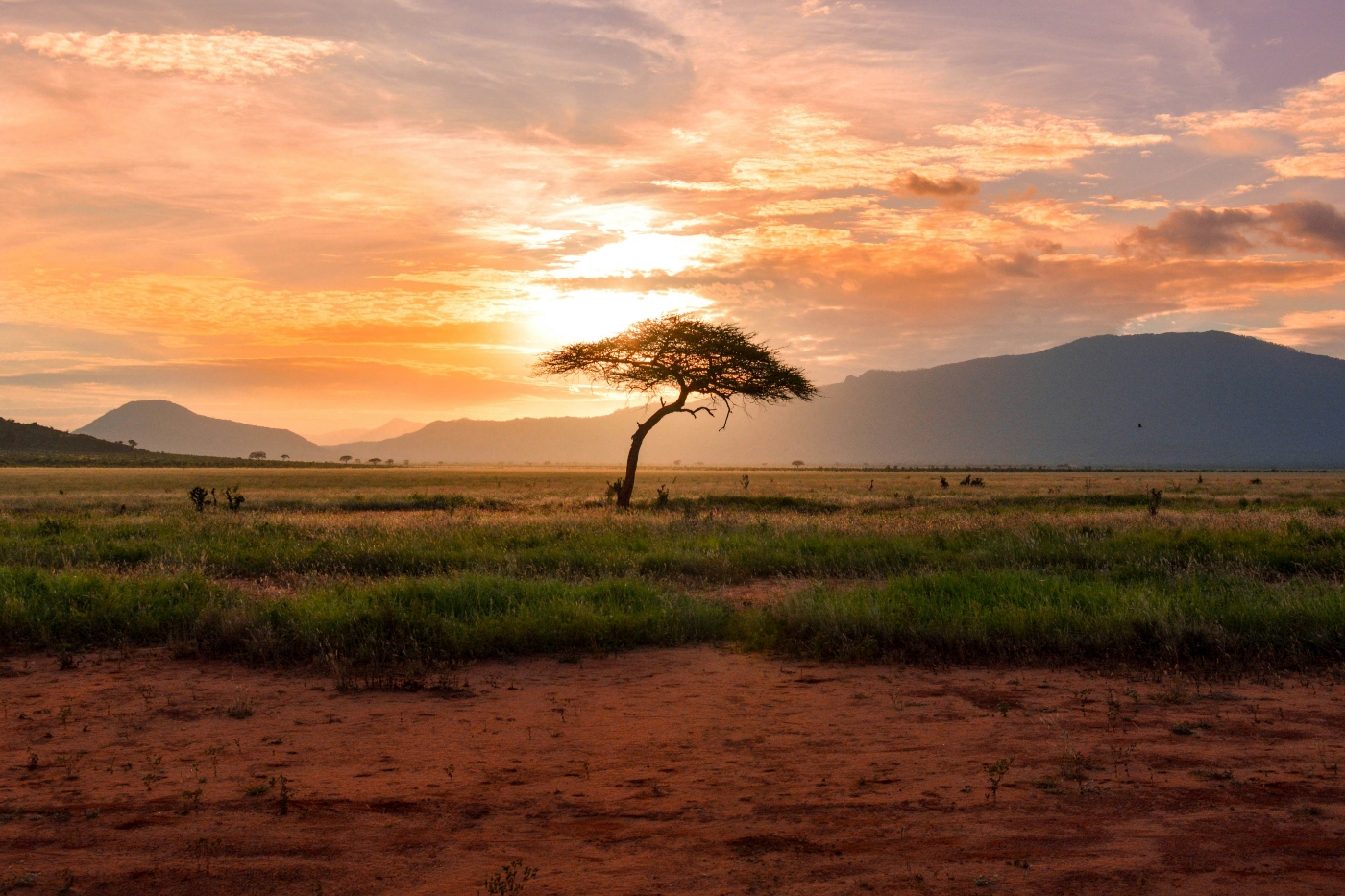 Maasai Mara