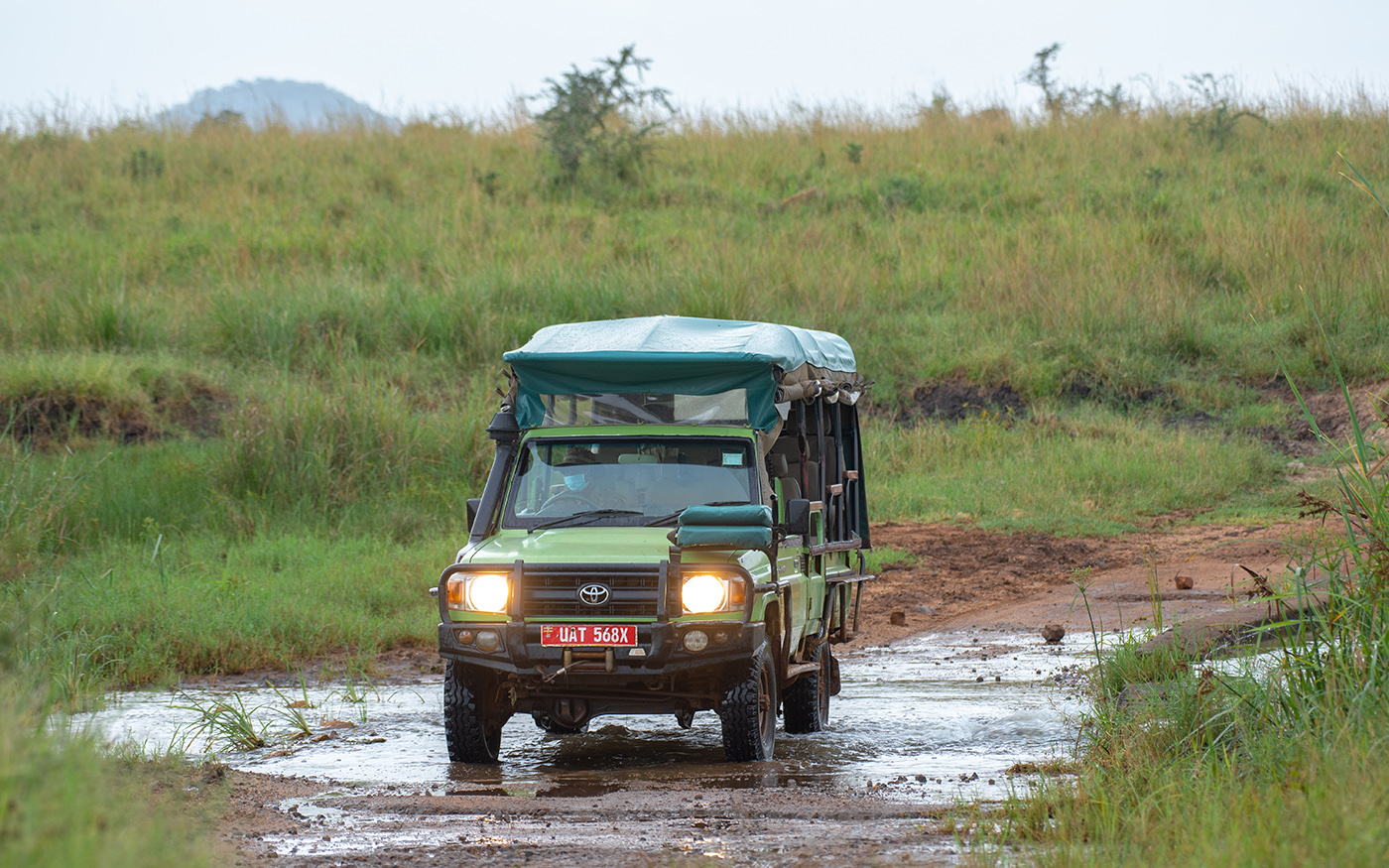 Transfer to Queen Elizabeth National Park and afternoon game drive