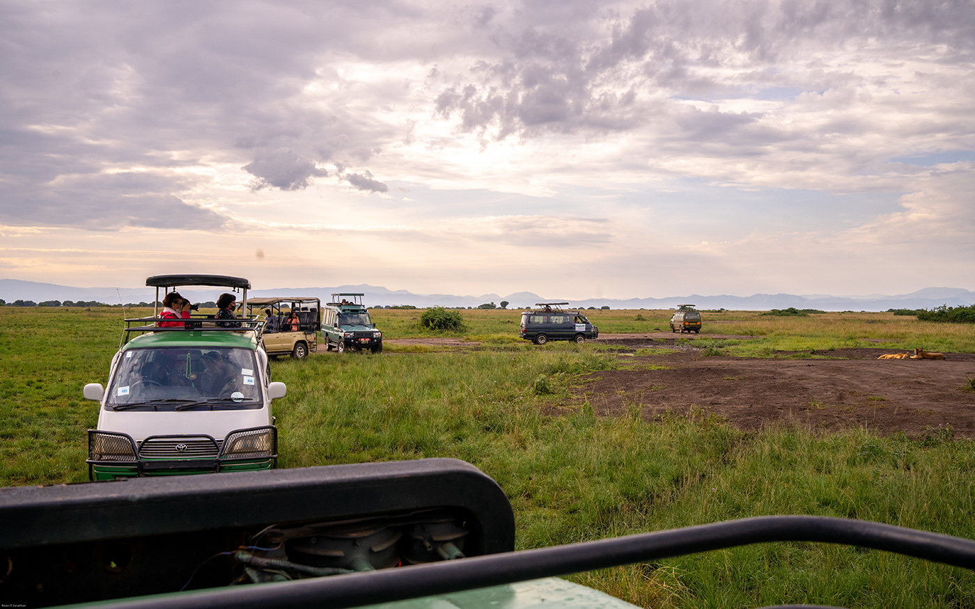 Transfer to Queen Elizabeth National Park and afternoon game drive