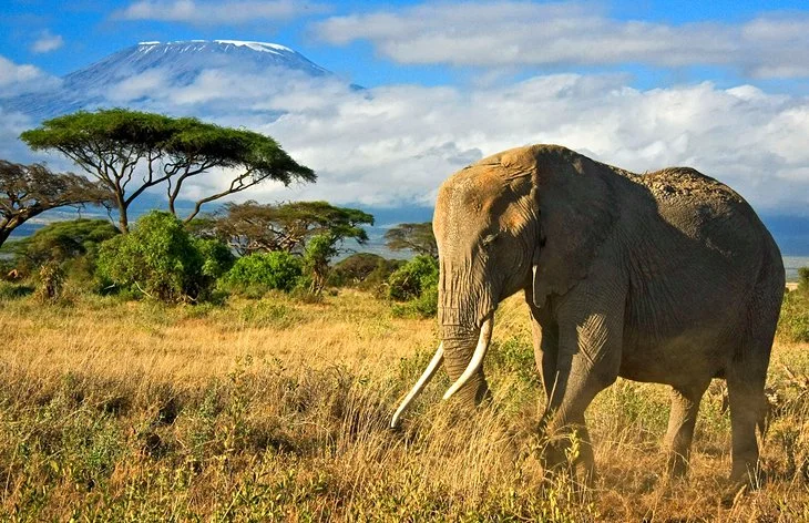 Kenya