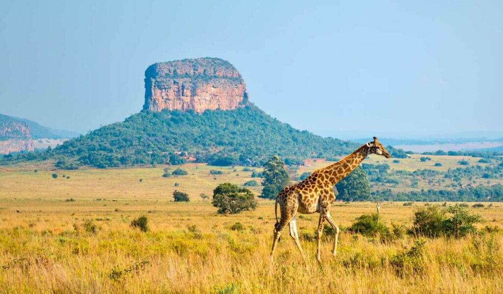 South Africa